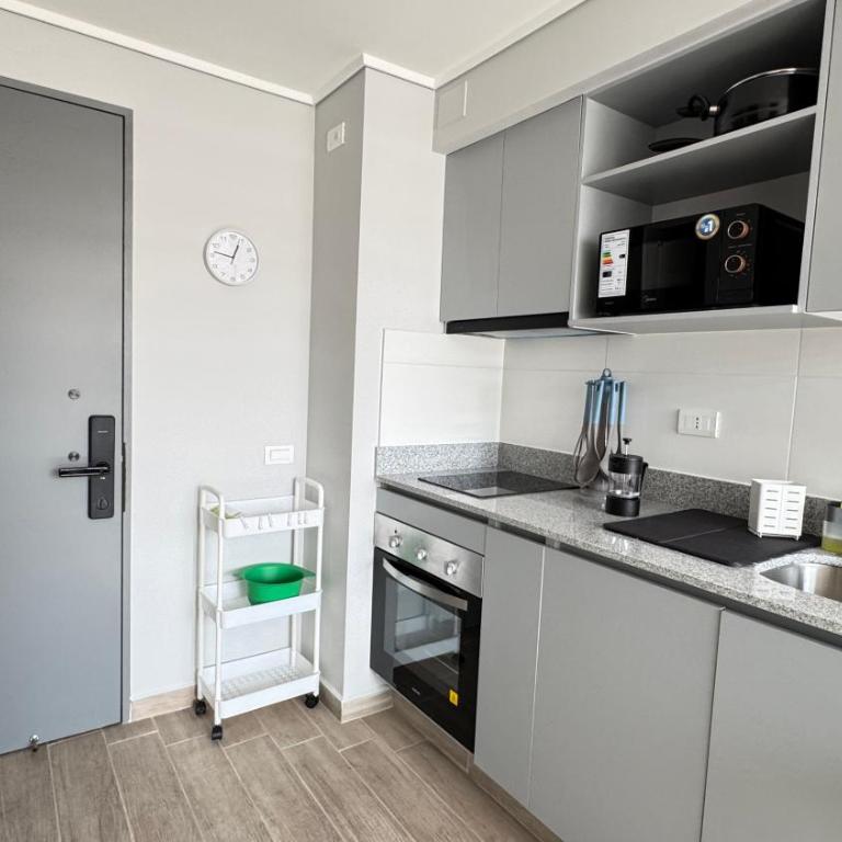 Movistar Arena, Parq OHiggins Estacionamiento Gratis - One-Bedroom Apartment - 34