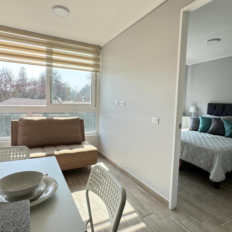 Movistar Arena, Parq OHiggins Estacionamiento Gratis - One-Bedroom Apartment - 36