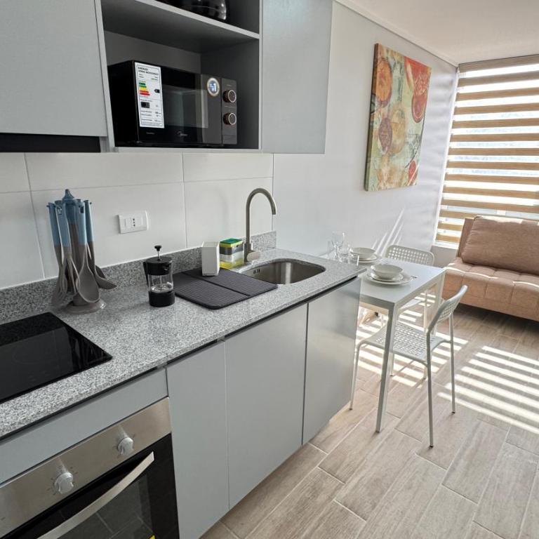Movistar Arena, Parq OHiggins Estacionamiento Gratis - One-Bedroom Apartment - 37