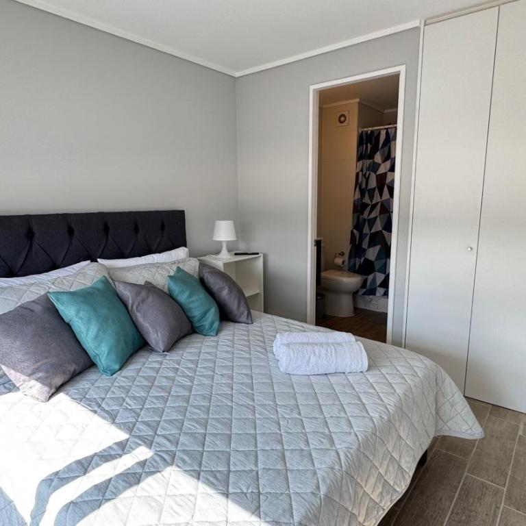 Movistar Arena, Parq OHiggins Estacionamiento Gratis - One-Bedroom Apartment - 45