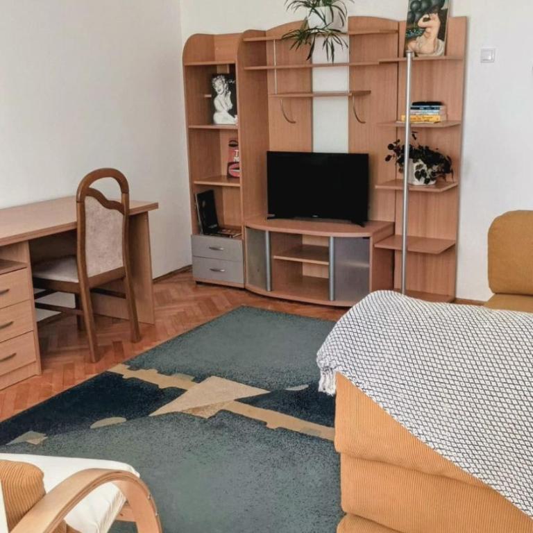 Comfortable apartment near park Čair - Apartman sa 1 Spavaćom Sobom - 7