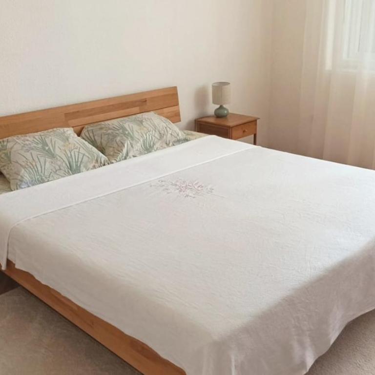 Comfortable apartment near park Čair - Apartman sa 1 Spavaćom Sobom - 8