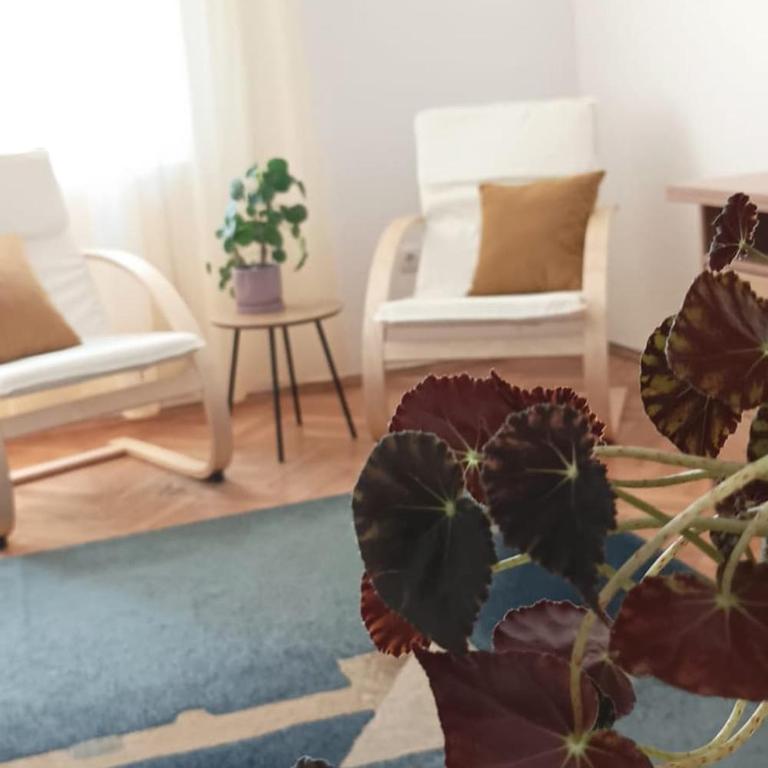 Comfortable apartment near park Čair - Apartman sa 1 Spavaćom Sobom - 6