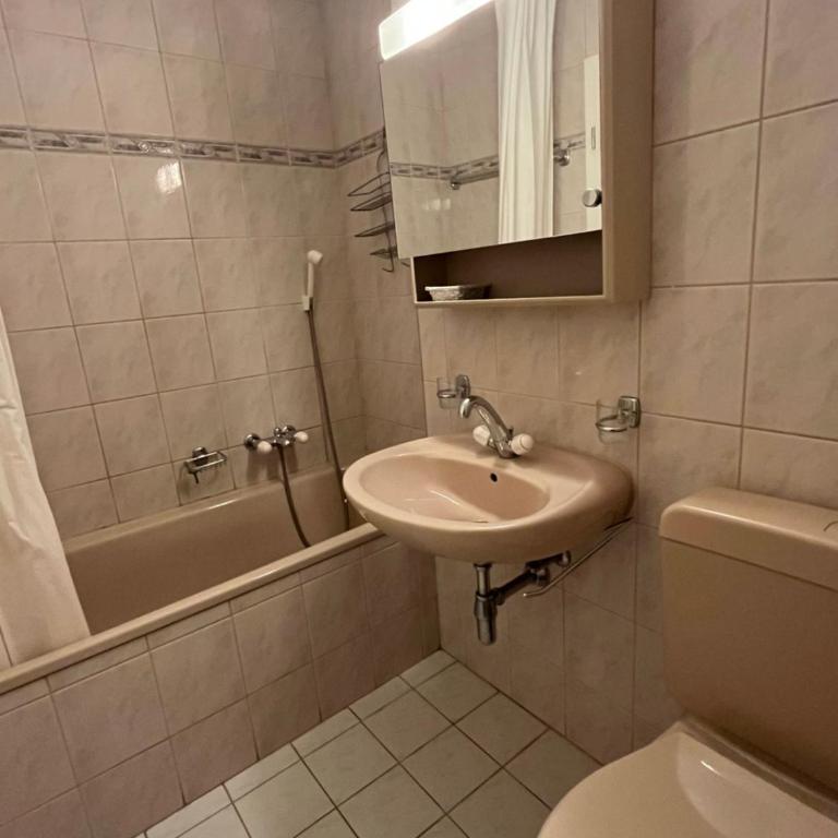 Alpine apartment in Swiss village of Torgon - Apartment mit 1 Schlafzimmer - 9