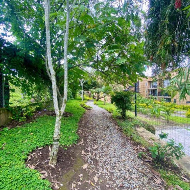 Reserva de la colina apartasoles - Apartamento de 2 dormitorios - 4