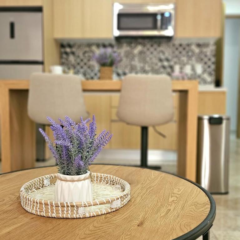 New Luxury Studio in the City Center - Studio with Terrace - 4