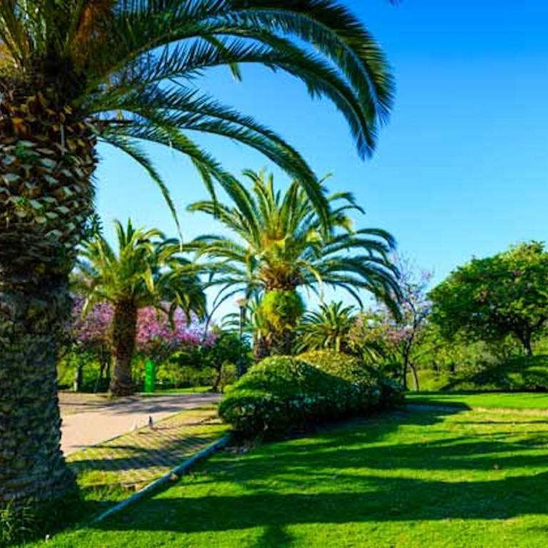Apartment Hercules 1 Bed WiFi TV - Apartamento de 1 dormitorio - 22