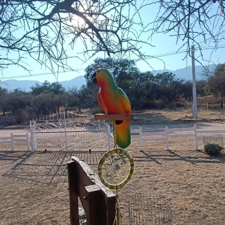 Casa La Linda - Habitación Doble - 7