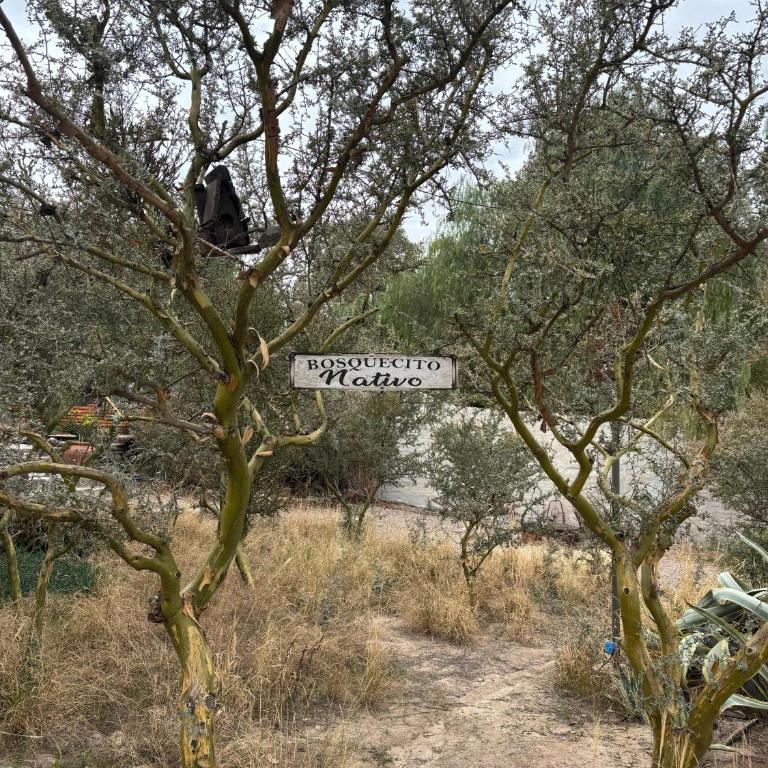 "Casa La Martina" naturaleza, sol y cielo - Casa de 2 dormitorios - 53