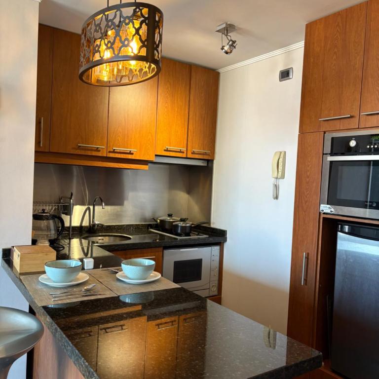 Depa en Providencia con terraza VIP - One-Bedroom Apartment - 1