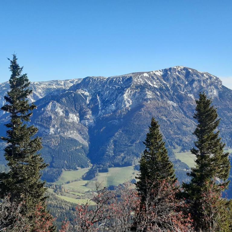 Landhaus Pool and Relax - Villa mit 3 Schlafzimmern - 53