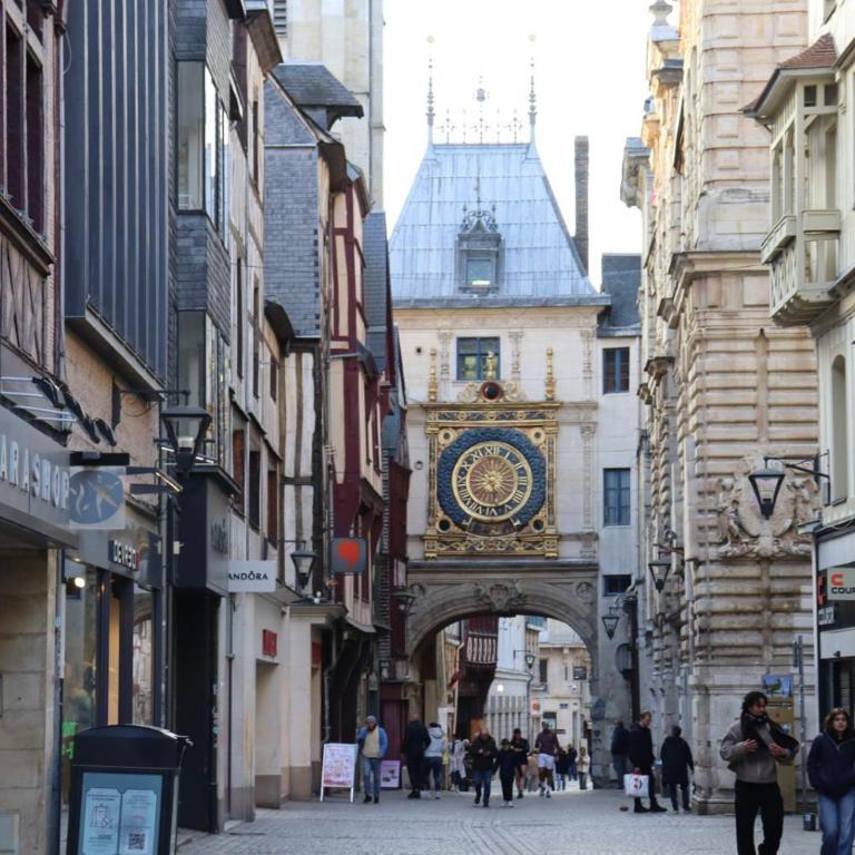 L'Hauss'Rouennais - Appartement 2 pièces - Centre historique Rouen - Appartement 1 Chambre - 34