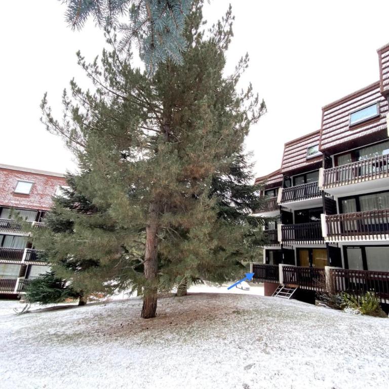 Charming Apartment With Swimming Pool - Appartement - 13