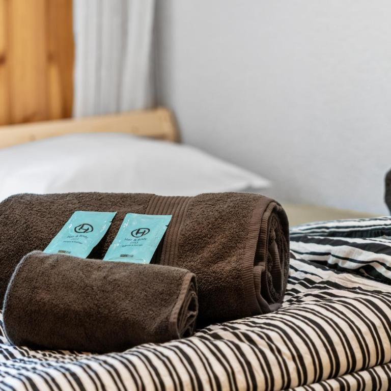 Charmant 2,5 pièces au pied des Bains d'Ovronnaz - Apartment mit 1 Schlafzimmer - 11