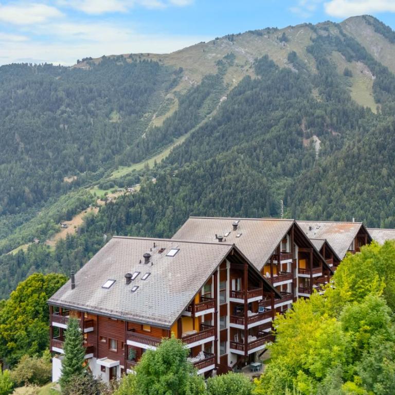 Charmant 2,5 pièces au pied des Bains d'Ovronnaz - Apartment mit 1 Schlafzimmer - 21