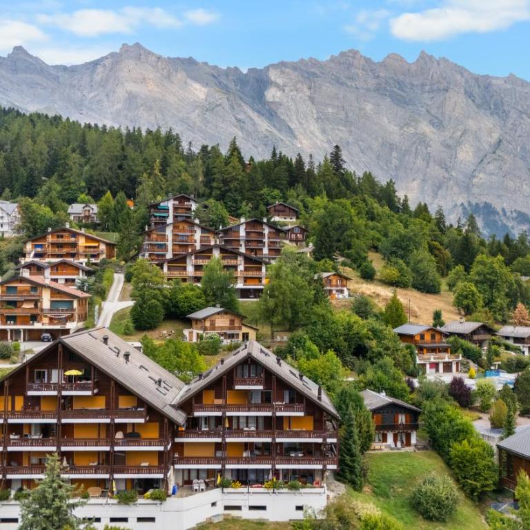 Charmant 2,5 pièces au pied des Bains d'Ovronnaz - Apartment mit 1 Schlafzimmer - 23