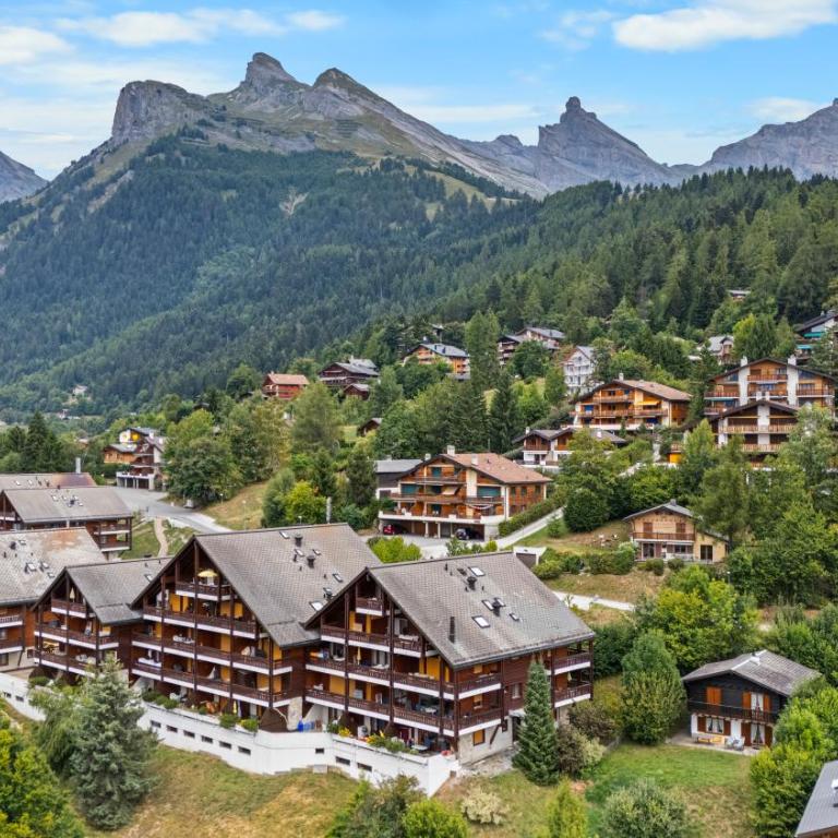 Charmant 2,5 pièces au pied des Bains d'Ovronnaz - Apartment mit 1 Schlafzimmer - 22