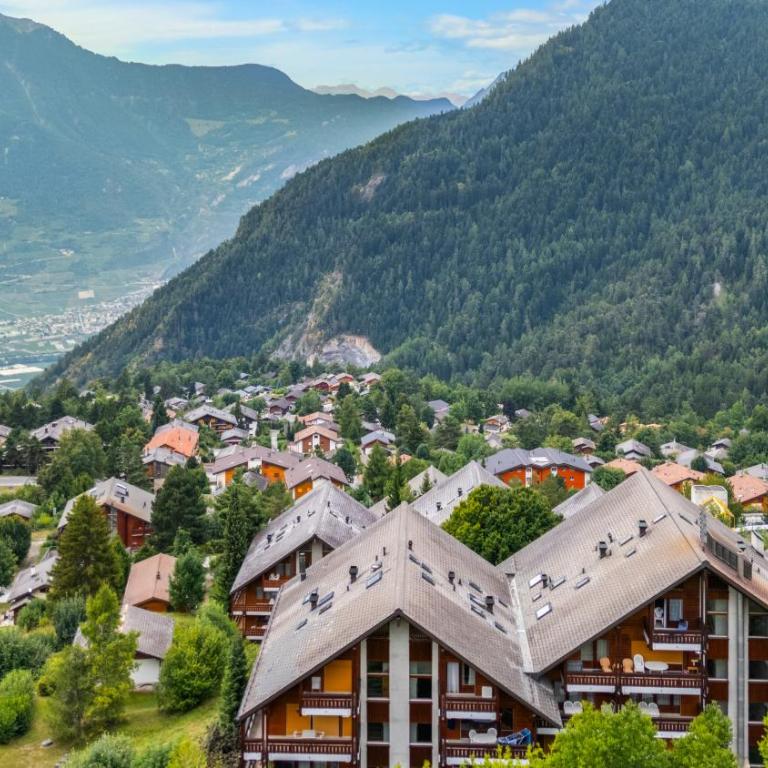 Charmant 2,5 pièces au pied des Bains d'Ovronnaz - Apartment mit 1 Schlafzimmer - 27