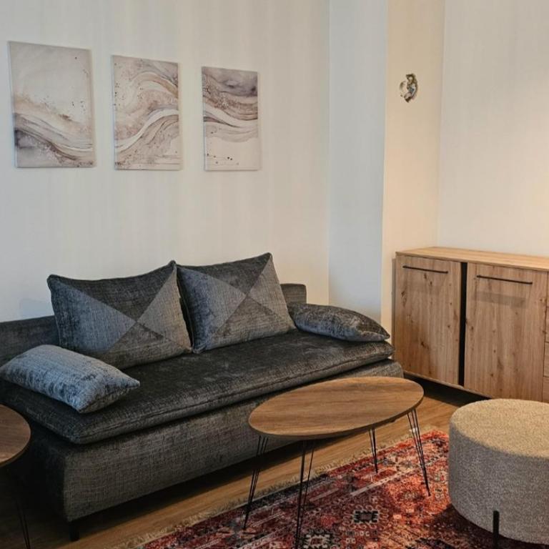 SARAJEVO City Apartment - Apartman sa 1 Spavaćom Sobom sa Pogledom na Grad - 7