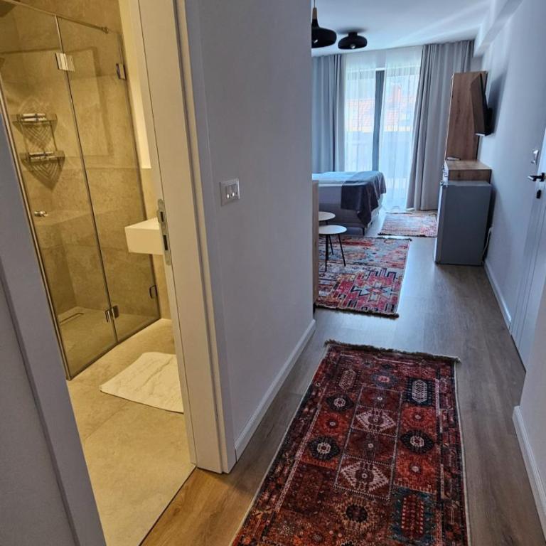 SARAJEVO City Apartment - Apartman sa 1 Spavaćom Sobom - 12
