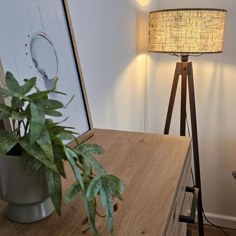 SARAJEVO City Apartment - Apartman sa 1 Spavaćom Sobom - 15