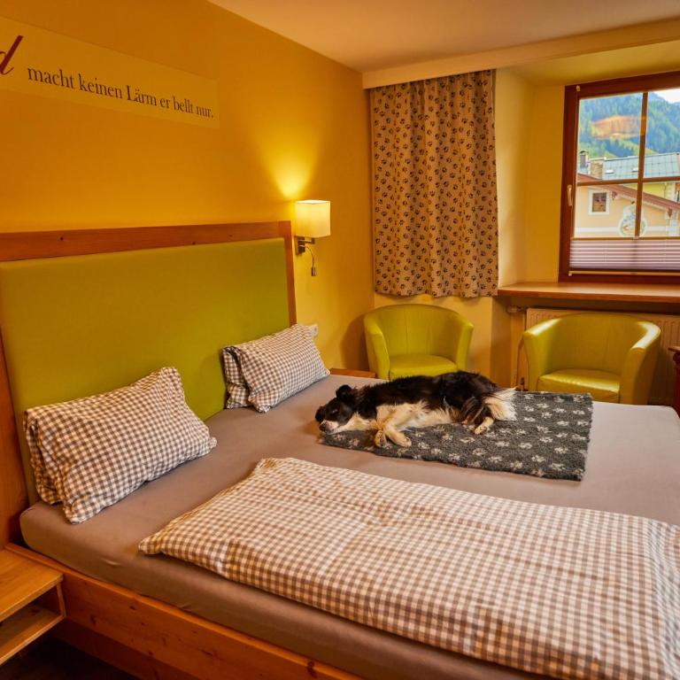 Hotel Grimming dogs&friends - Doppelzimmer mit Dusche - 5
