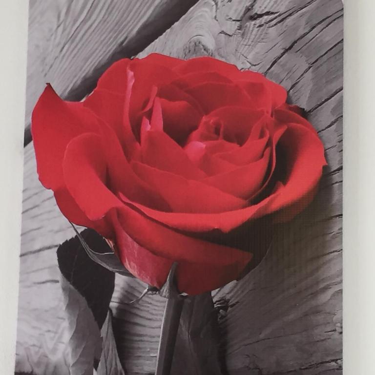 Rosa di Ortigia - Appartamento con 1 Camera da Letto - 12