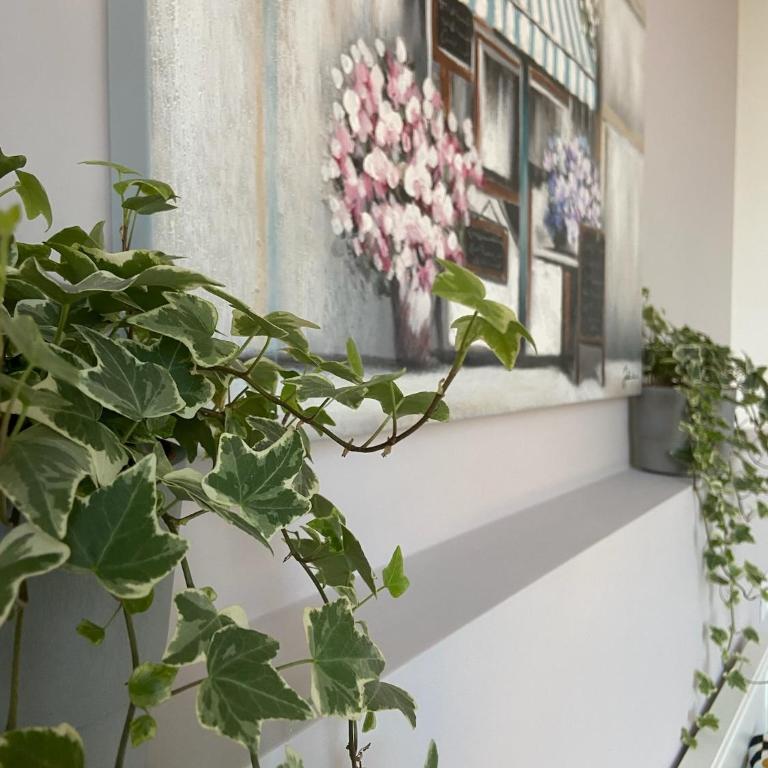 Dimora del Papa Rome Apartments - Appartamento con 1 Camera da Letto - 19