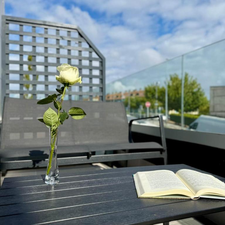 Luxury Singular Blue - Estudio Superior con terraza - 5