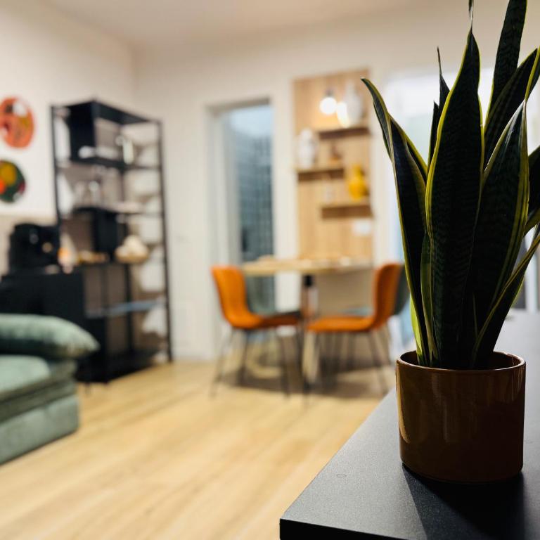 Vimini Like a Local - City Center - Apartment - 19
