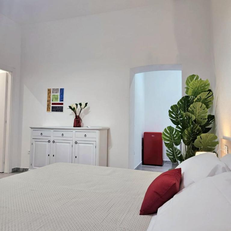 Le Arcada - Appartamenti diffusi nel cuore del centro storico di Orosei - Appartamento con 1 Camera da Letto - Non Fumatori - 10