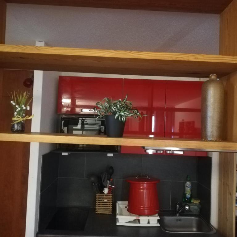 Studio au pied des pistes - Appartamento con 1 Camera da Letto - 7