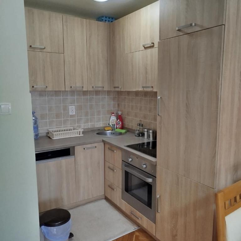 Ksenija apartment - Apartman sa 1 Spavaćom Sobom - 8