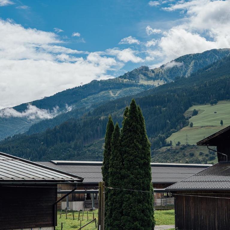 Der Kehlbachwirt by Monteviva - Estudio con vistas a las montañas - 34