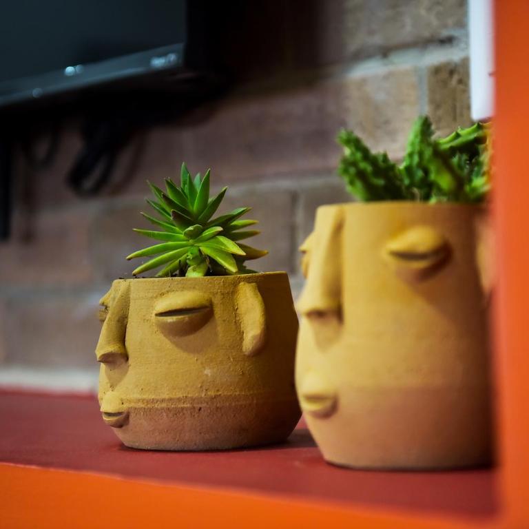 Departamento en Oaxaca para 18 personas - Con amenidades a 2,5km del centro - Apartamento - 5