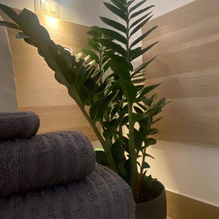 Dimora Vaticano Rome Apartments - Appartamento con 1 Camera da Letto - 14