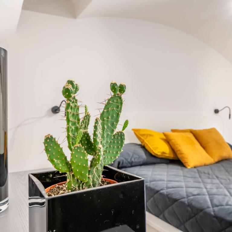GuestHost - Central and Bright Apartment Catania - One-Bedroom Apartment - 1