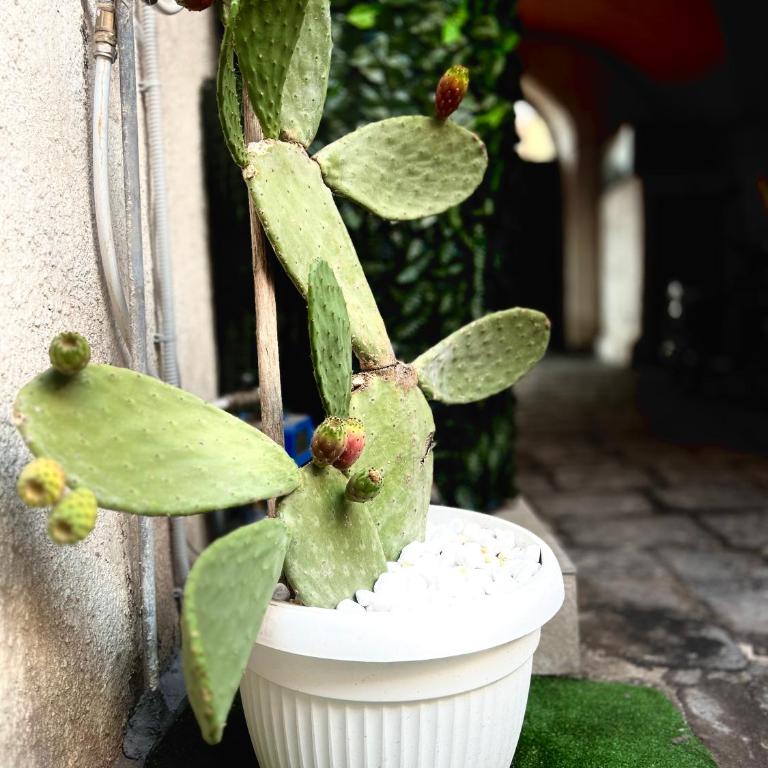 Catania del mio cuore - Appartamento con 2 Camere da Letto - 22