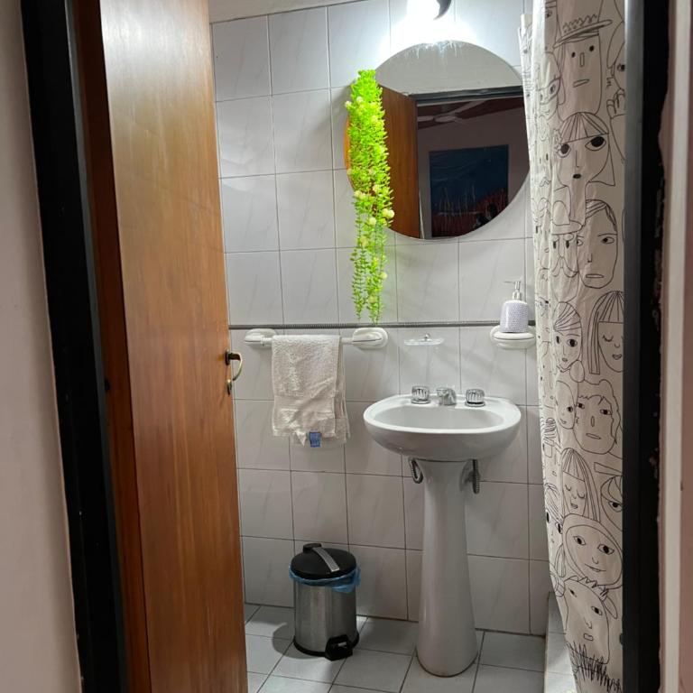 Dpto Aceituna - One-Bedroom Apartment - 13