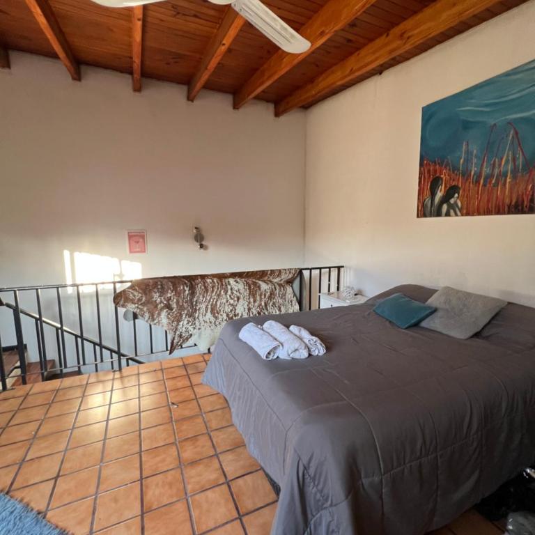 Dpto Aceituna - One-Bedroom Apartment - 2