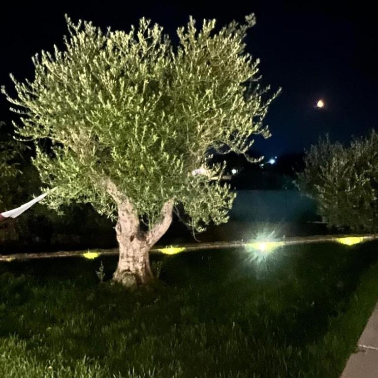 Villa Itriò - In the heart of Apulia - B&B - pool - rural experience - Camera Matrimoniale Superior - 27