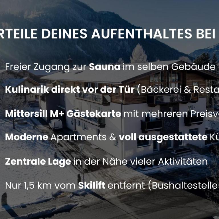 Our's Living - modern Apartments with Sauna near Kitzbüheler Alpen ski lift - Deluxe Apartment mit Balkon - 1