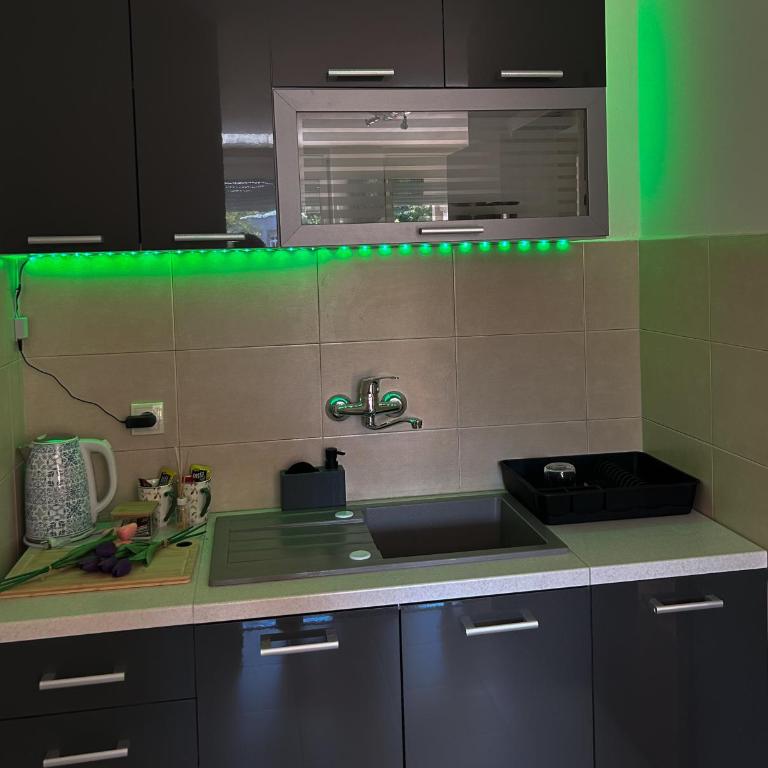 Apartman Ivana - Apartman sa 1 Spavaćom Sobom - 5
