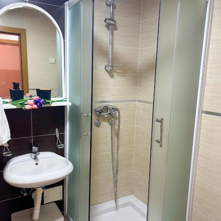 Apartman Ivana - Apartman sa 1 Spavaćom Sobom - 4