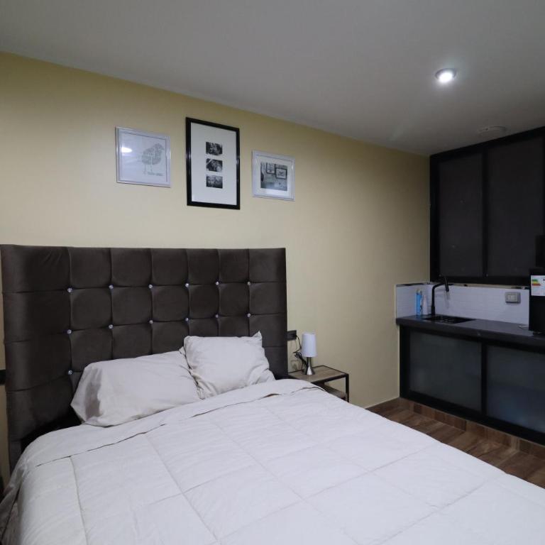 Casa Céntrica Ica, a 10 min de Oasis - Casa con 1 dormitorio - 31