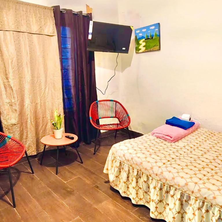 Habitaciones a 8 min de Plaza bella y Almenares - Habitación Doble con baño compartido - 4