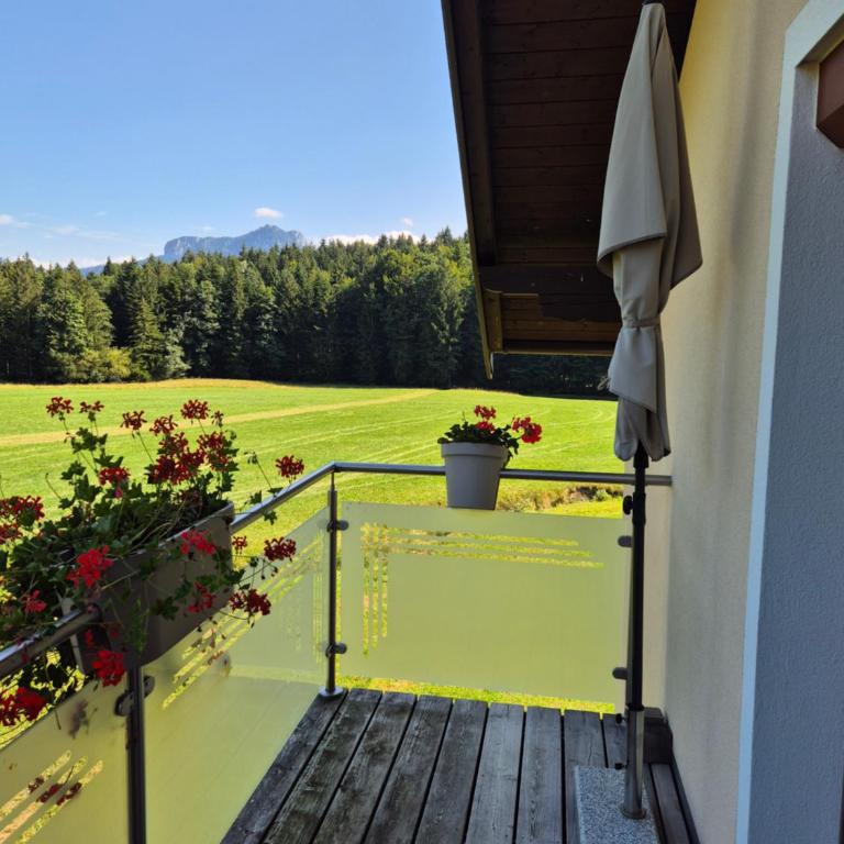 Landhaus Dersch - Studio avec Balcon - 8