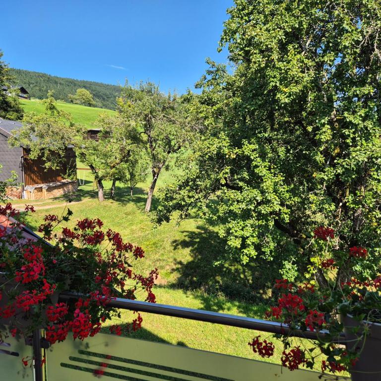 Landhaus Dersch - Studio avec Balcon - 13