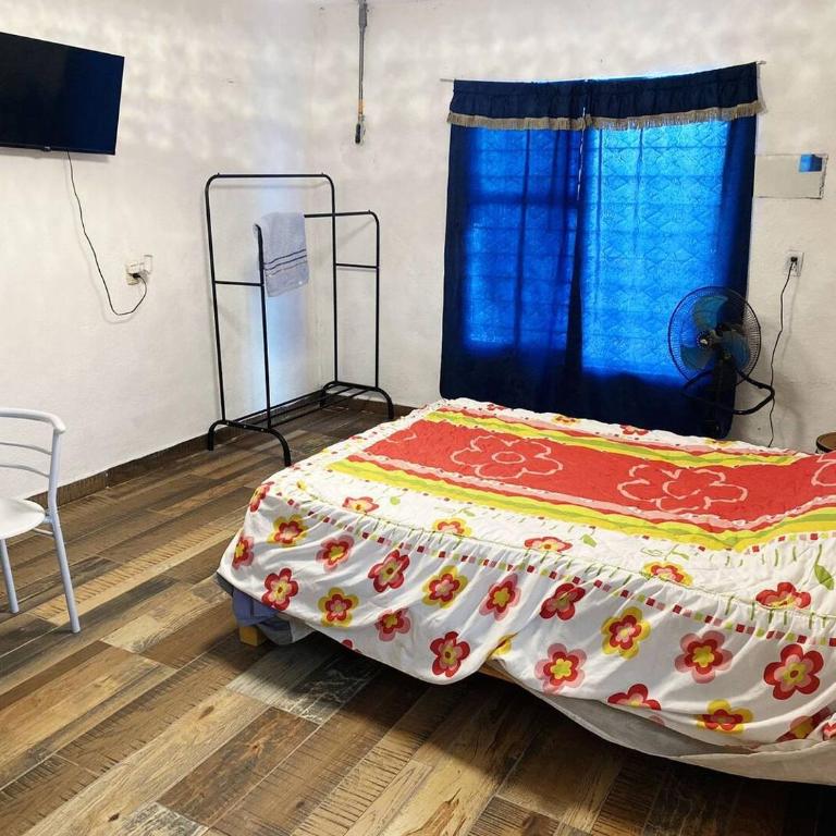 Habitaciones a 8 min de Plaza bella y Almenares - Habitación Doble con baño compartido - 3