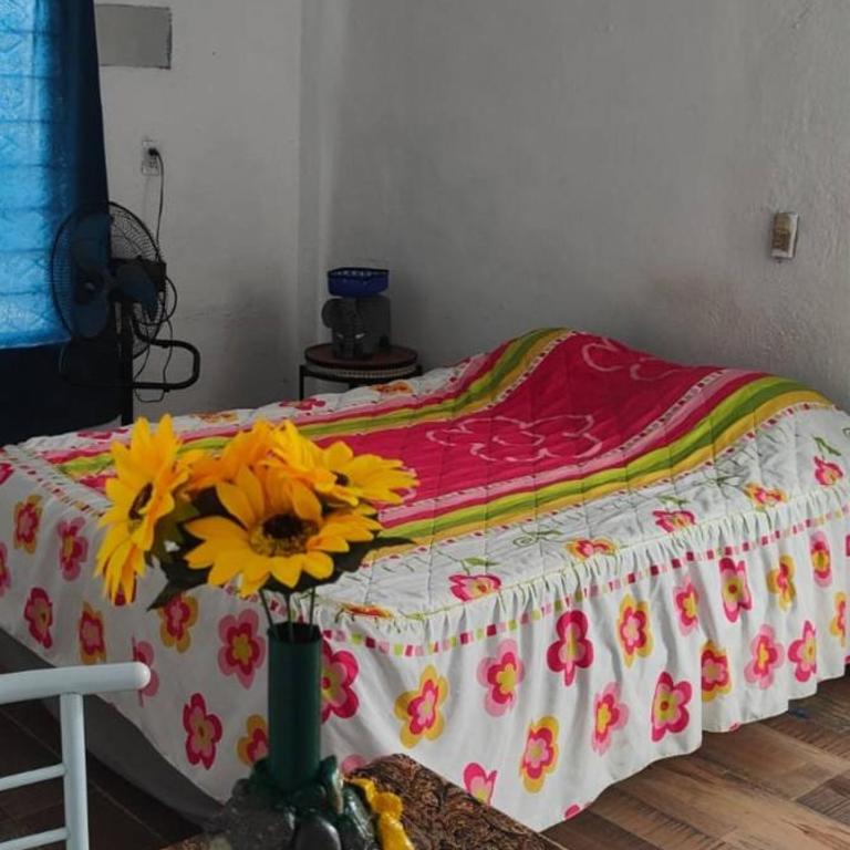 Habitaciones a 8 min de Plaza bella y Almenares - Habitación Doble con baño compartido - 5